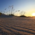 Capturing the Magic: The Best Times of Day for Photography in Southeast Florida
