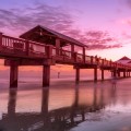 Exploring the Vibrant Diversity of Southeast Florida Through Photography