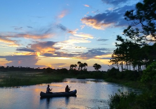 The Hidden Beauty of Photography in Southeast Florida