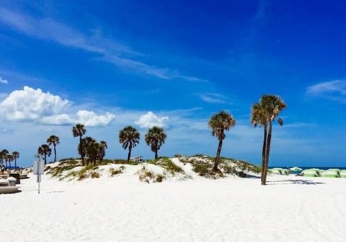 The Ultimate Guide to Photographing in Southeast Florida
